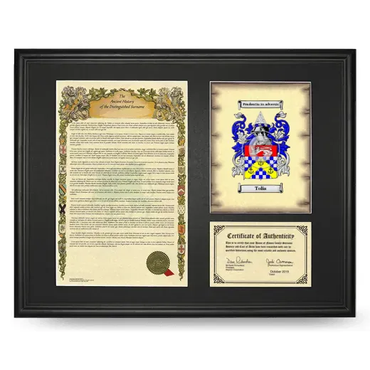 Tolia Framed Surname History and Coat of Arms - Black