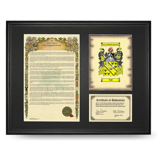 Veil Framed Surname History and Coat of Arms - Black