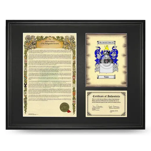 Yann Framed Surname History and Coat of Arms - Black