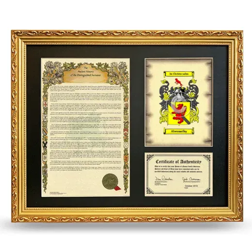 Abernathy Framed Surname History and Coat of Arms- Gold
