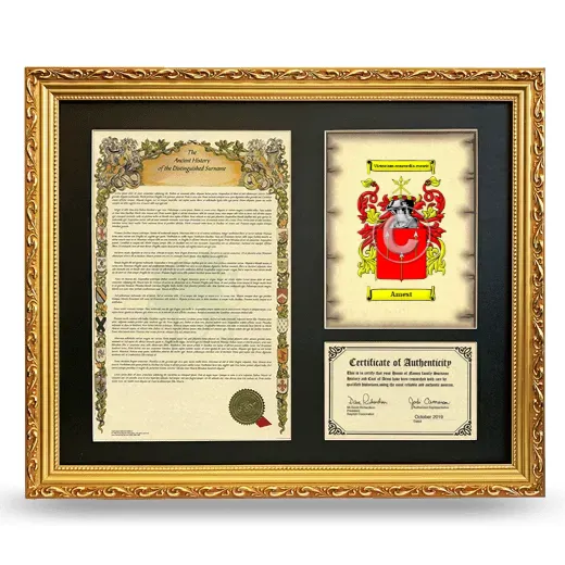 Amest Framed Surname History and Coat of Arms- Gold