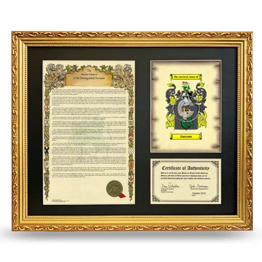 Ammer Framed Surname History and Coat of Arms- Gold
