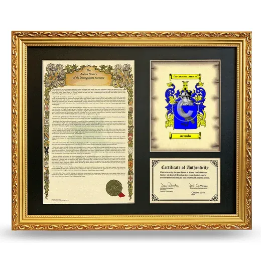 Arruda Framed Surname History and Coat of Arms- Gold