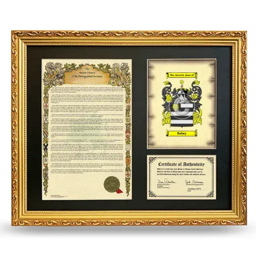 Babey Framed Surname History and Coat of Arms- Gold