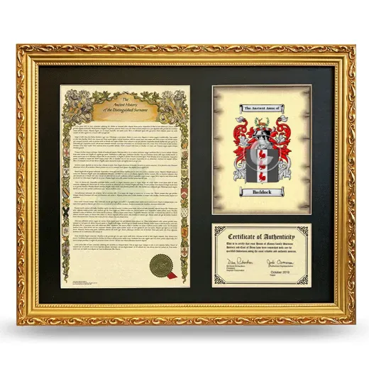 Baddock Framed Surname History and Coat of Arms- Gold