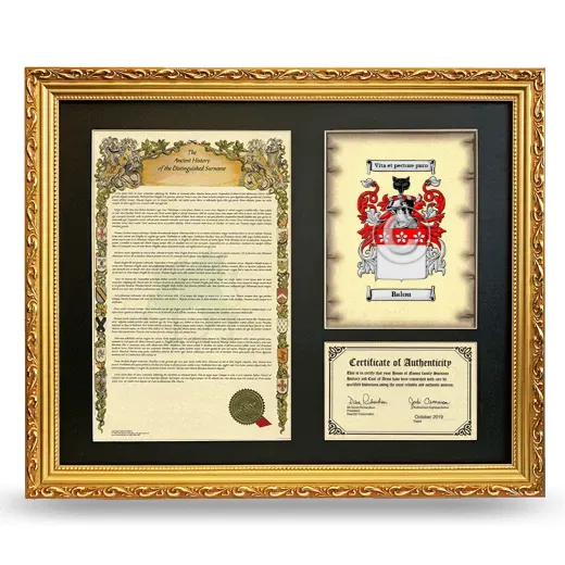 Balou Framed Surname History and Coat of Arms- Gold