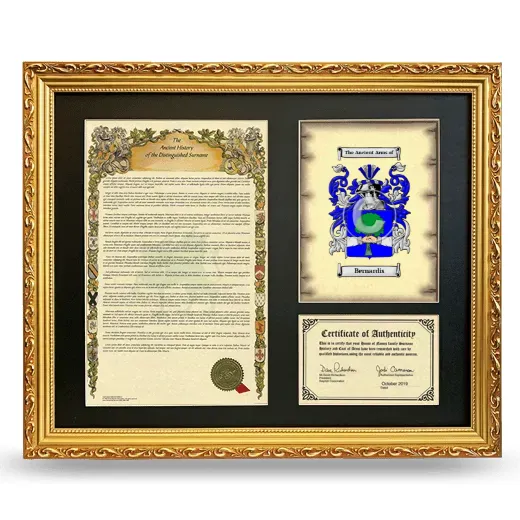 Bernardis Framed Surname History and Coat of Arms- Gold