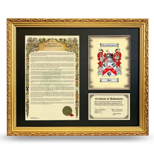 Bert Framed Surname History and Coat of Arms- Gold