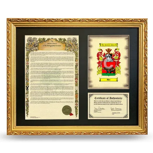 Bier Framed Surname History and Coat of Arms- Gold