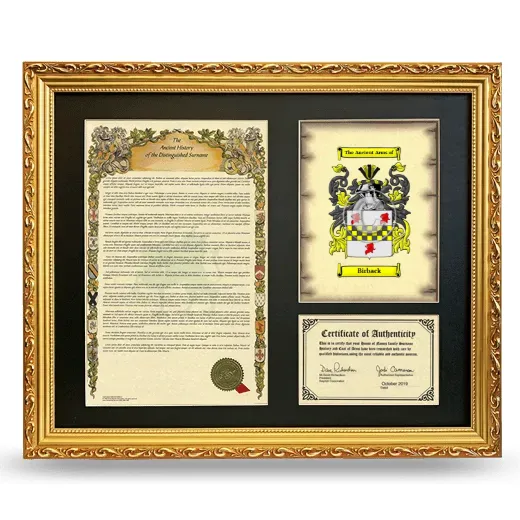 Birback Framed Surname History and Coat of Arms- Gold