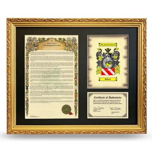 Bohrer Framed Surname History and Coat of Arms- Gold