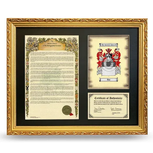 Bur Framed Surname History and Coat of Arms- Gold