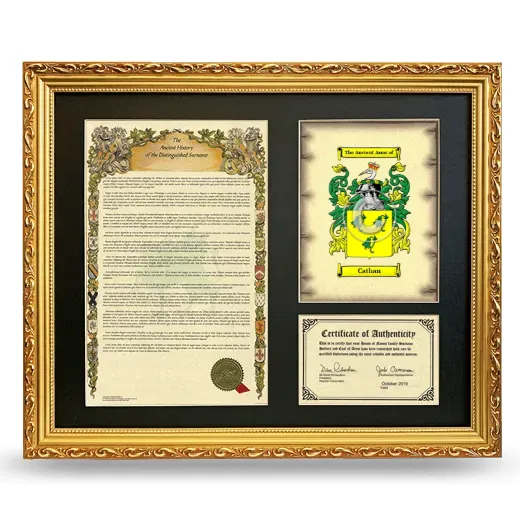 Cathan Framed Surname History and Coat of Arms- Gold