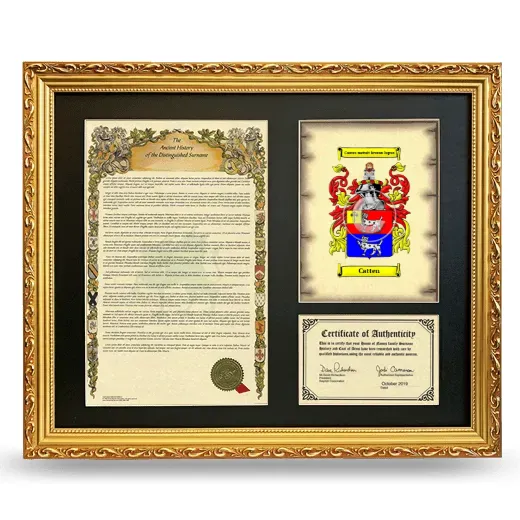 Catten Framed Surname History and Coat of Arms- Gold