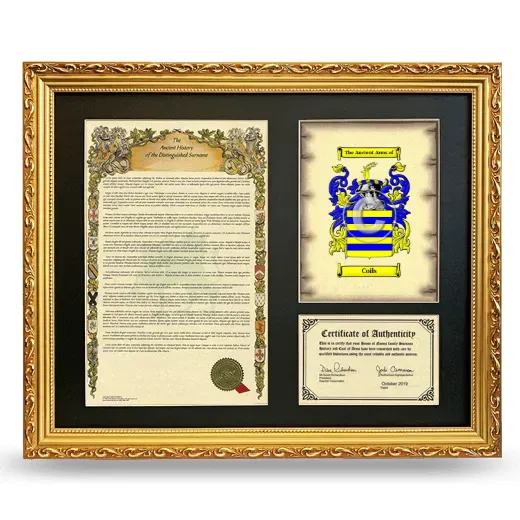 Coils Framed Surname History and Coat of Arms- Gold
