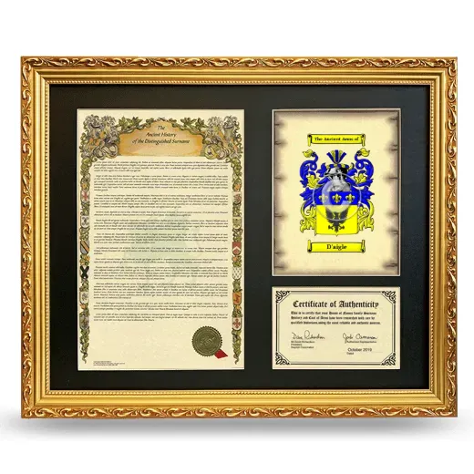 D'aigle Framed Surname History and Coat of Arms- Gold