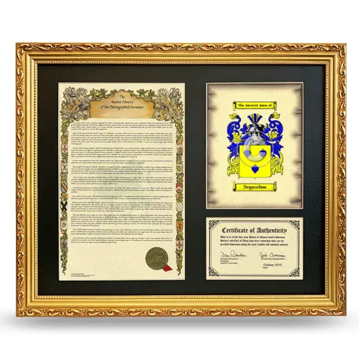 Degamboa Framed Surname History and Coat of Arms- Gold