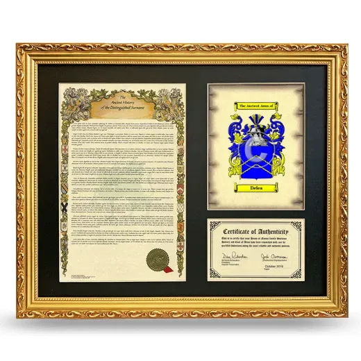 Delea Framed Surname History and Coat of Arms- Gold