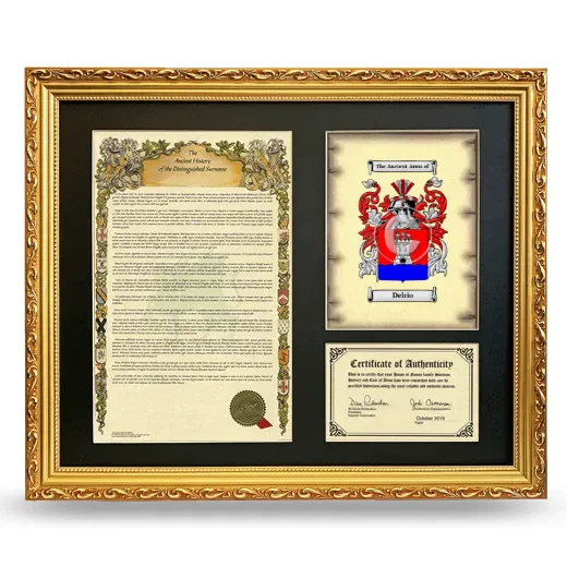Delrio Framed Surname History and Coat of Arms- Gold