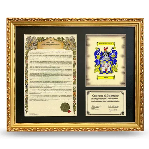 Doil Framed Surname History and Coat of Arms- Gold