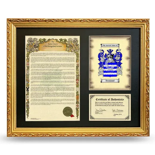 Dromond Framed Surname History and Coat of Arms- Gold