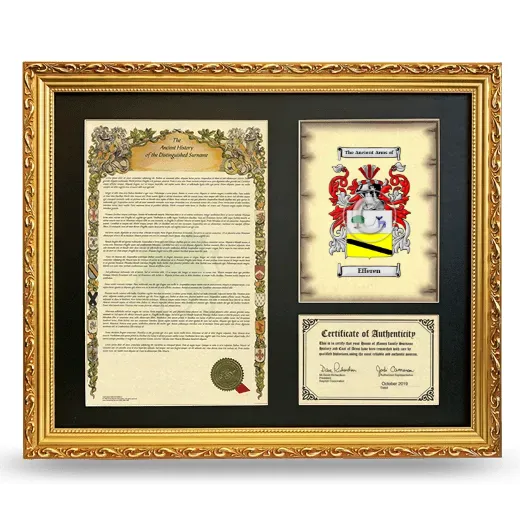 Efferen Framed Surname History and Coat of Arms- Gold