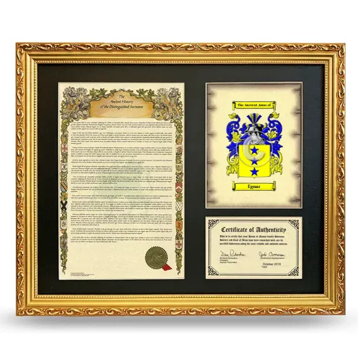 Egnar Framed Surname History and Coat of Arms- Gold