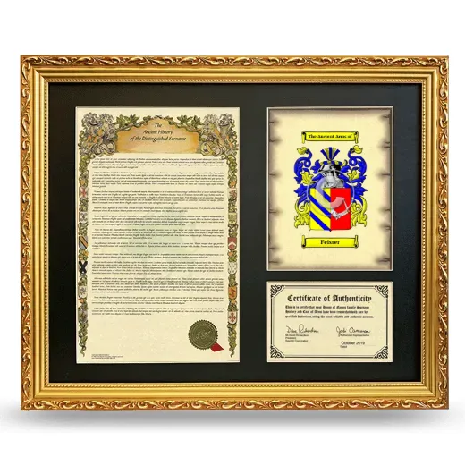 Feister Framed Surname History and Coat of Arms- Gold