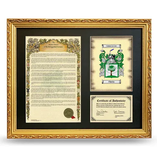 Flavin Framed Surname History and Coat of Arms- Gold