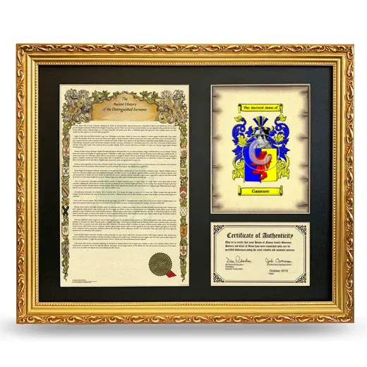 Gausser Framed Surname History and Coat of Arms- Gold