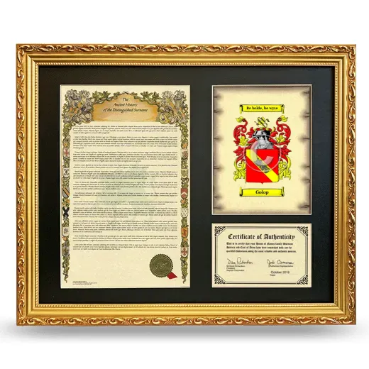 Golop Framed Surname History and Coat of Arms- Gold