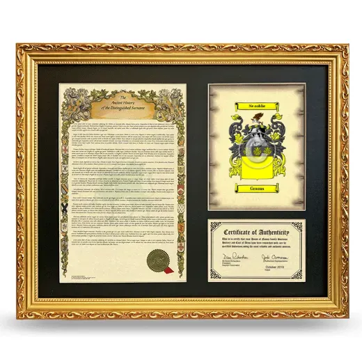 Grams Framed Surname History and Coat of Arms- Gold