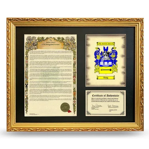 Haag Framed Surname History and Coat of Arms- Gold