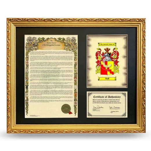 Hall Framed Surname History and Coat of Arms- Gold