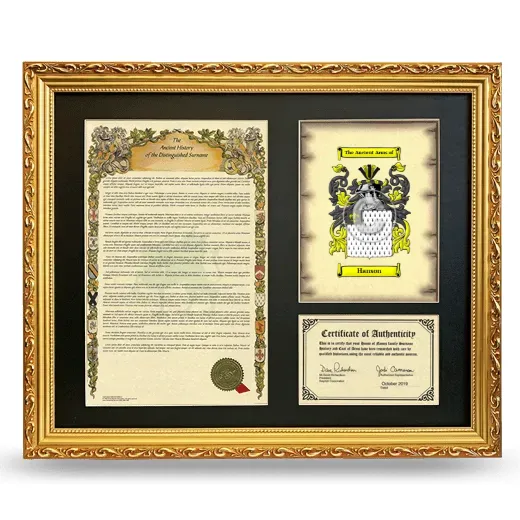 Hanson Framed Surname History and Coat of Arms- Gold