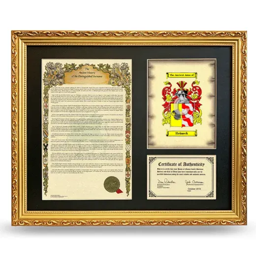 Heineck Framed Surname History and Coat of Arms- Gold