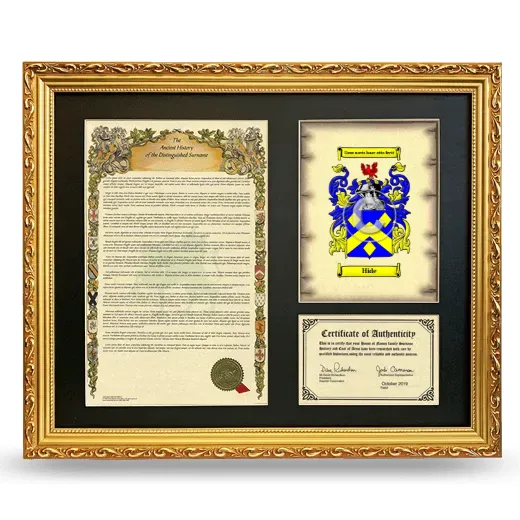 Hide Framed Surname History and Coat of Arms- Gold