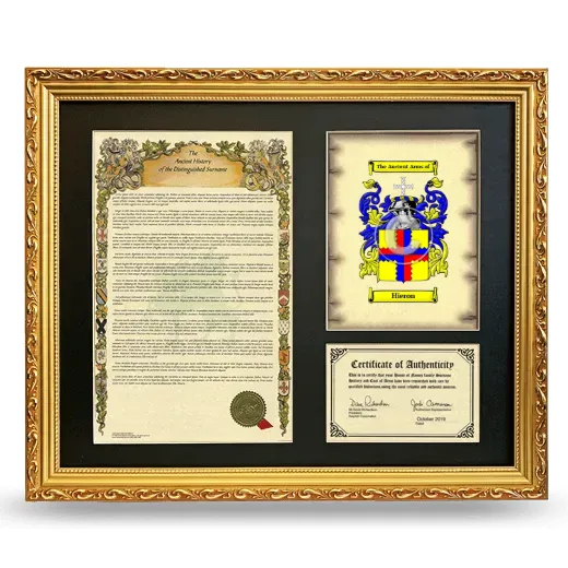 Hieron Framed Surname History and Coat of Arms- Gold