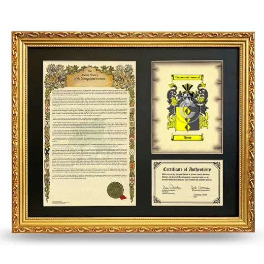 Ilene Framed Surname History and Coat of Arms- Gold