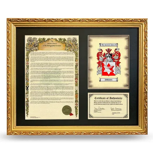 Johnsen Framed Surname History and Coat of Arms- Gold