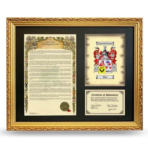 Klen Framed Surname History and Coat of Arms- Gold