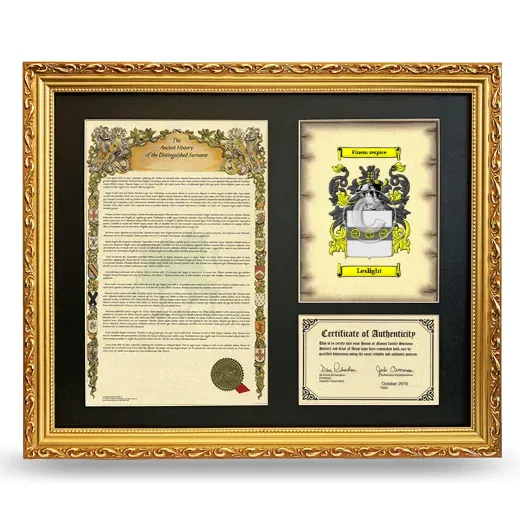 Leslight Framed Surname History and Coat of Arms- Gold