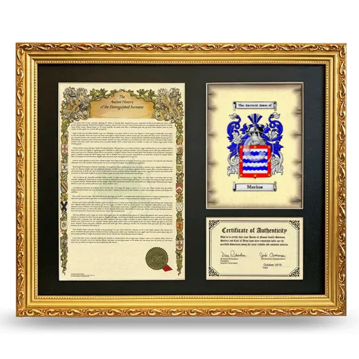Marina Framed Surname History and Coat of Arms- Gold