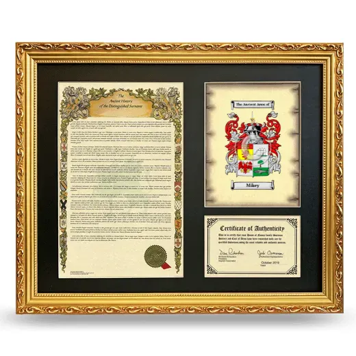 Mikey Framed Surname History and Coat of Arms- Gold