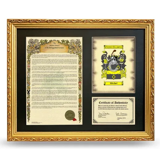 Mitchel Framed Surname History and Coat of Arms- Gold