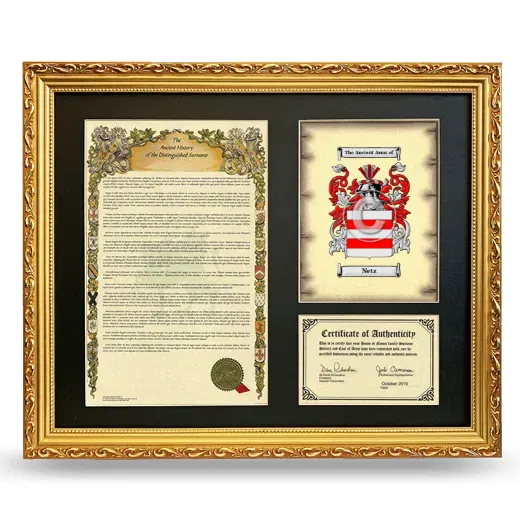 Netz Framed Surname History and Coat of Arms- Gold