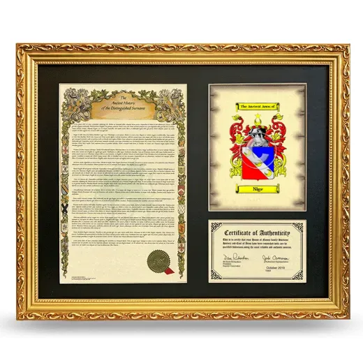 Nige Framed Surname History and Coat of Arms- Gold