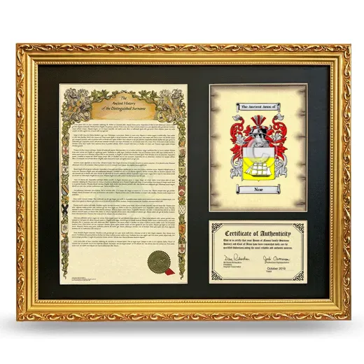 Noe Framed Surname History and Coat of Arms- Gold