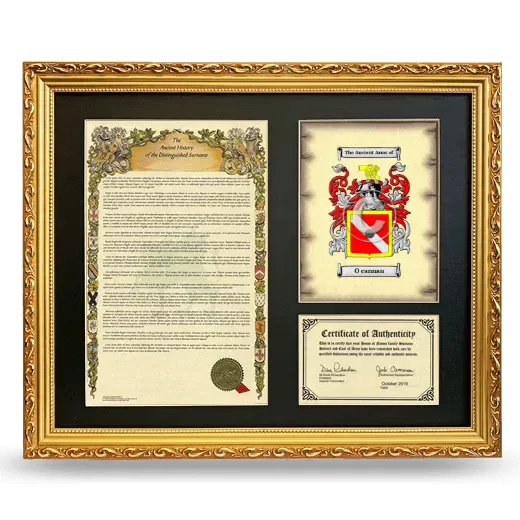O cannan Framed Surname History and Coat of Arms- Gold