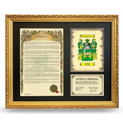 Oreilly Framed Surname History and Coat of Arms- Gold